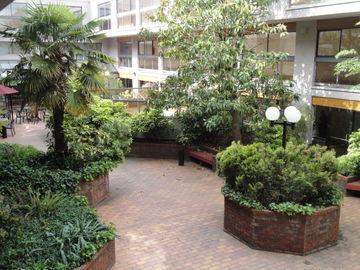 Executive Inn Express Vancouver Airport Ричмонд Екстер'єр фото